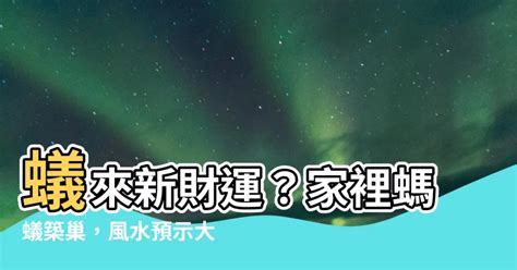 家裡有螞蟻 風水|【家裡有螞蟻窩 風水】4個徵兆不可不知 